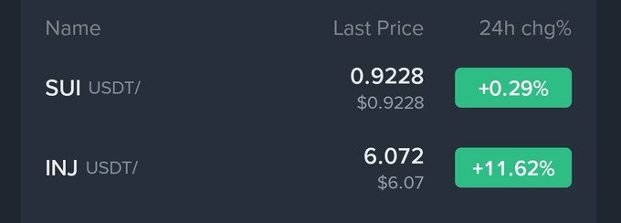 The image features a screenshot of a computer display with two columns of text, showing the last price for various cryptocurrency pairs such as SUI (USDT) and INJ (INJ). One column displays the information for SUI, while the other column represents prices from the Inj market. The text on the screen includes the names of the cryptocurrencies shown in those columns along with their respective prices, indicating the current price trend within these markets. This visual representation provides context to the image and may help viewers understand how cryptocurrency prices are displayed or interpreted.