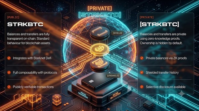 A blockchain infographic compares '[PUBLIC] STRAKBTC' and '[PRIVATE] [STRAKBTC]', detailing features like public transparency versus private shielded transfers using zero-knowledge proofs.