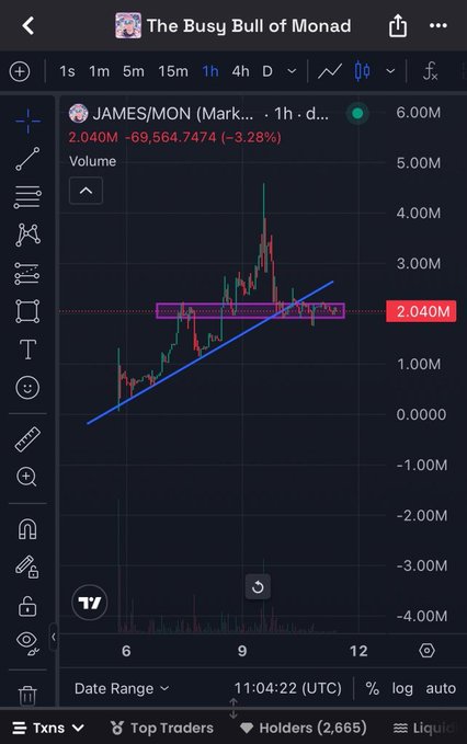 A crypto trading chart for 'JAMES/MON (Mark...)' from 'The Busy Bull of Monad' showing a price of 2.040M and a -3.28% change over a 1-hour timeframe.