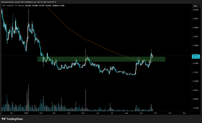 A TradingView candlestick chart for $WIF/USDT on Binance shows the token at 0.2448 (up 2.70%), consolidating near the 0.2500 USDT resistance zone with a highlighted green support band between roughly 0.18 and 0.25, supporting the post's view that $WIF could pump out of this support level.