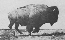 None