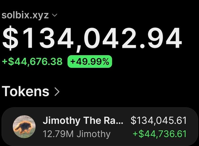 A screenshot from solbix.xyz shows a wallet holding $134,042.94, up +$44,676.38 (+49.99%), with the top holding being 12.79M Jimothy tokens valued at $134,045.61 (+$44,736.61), illustrating the post's claim of a $755 investment in $Jimothy turning into roughly $134,000 in profit.
