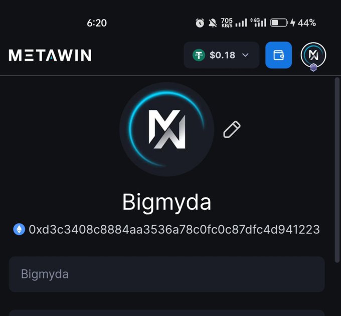 A mobile screenshot of the MetaWin app displaying a user profile named 'Bigmyda' with the wallet address '0xd3c3408c8884aa3536a78c0fc0c87dfc4d941223'.