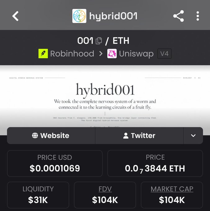 A token tracking page for "hybrid001" on Uniswap V4, showing a price of $0.0001069 USD, 0.0₇3844 ETH, $31K liquidity, and a $104K market cap.