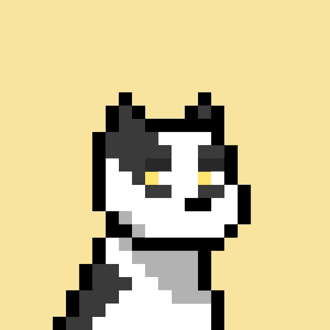 A pixel art illustration of a black and white cat with yellow eyes against a solid yellow background.