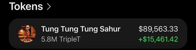 A mobile screenshot from a portfolio app shows the "Tung Tung Tung Sahur" token (ticker: TripleT) with a value of $89,563.33 from a 5.8M holding, displaying a gain of +$15,461.42 in green, supporting the post's claim of having caught the exact bottom on $TripleT.