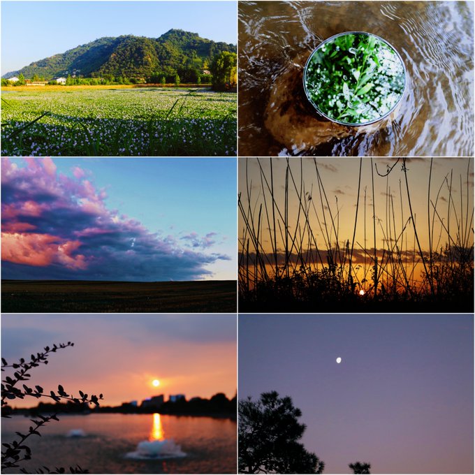 A collage of six nature and landscape photographs featuring mountains, a water plant, sunset skies, reeds at sunset, a sunset over water, and the moon.