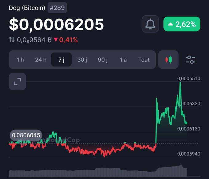 A cryptocurrency chart showing 'Dog (Bitcoin) #289' at $0.0006205 with a 7-day price graph and 2.62% increase.