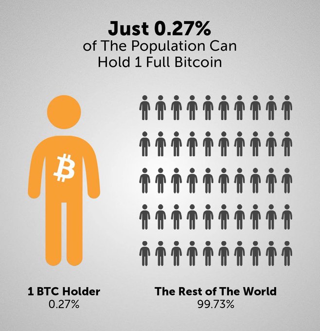 An infographic stating 'Just 0.27% of The Population Can Hold 1 Full Bitcoin,' showing one orange figure with a '₿' symbol representing '1 BTC Holder 0.27%' versus many grey figures representing 'The Rest of The World 99.73%'.