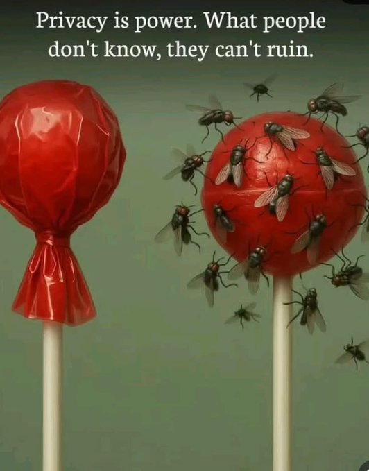 A conceptual image with the text 'Privacy is power. What people don't know, they can't ruin.' showing a wrapped red lollipop contrasted against an unwrapped one covered in flies.