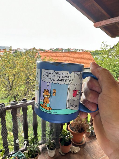 A hand holds a blue Garfield mug with a comic panel showing Garfield declaring 'I NOW OFFICIALLY LOVE THE INTERNET CAPITAL MARKETS,' with a balcony, plants, and rooftops in the background.