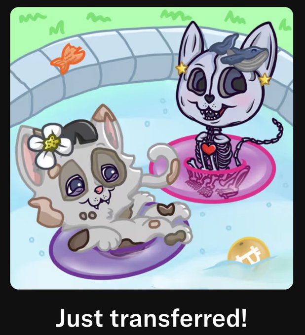 A cartoon illustration of two skeletal cat characters in a pool, one on a pink float and one on a cloud-shaped float, captioned 'Just transferred!'.