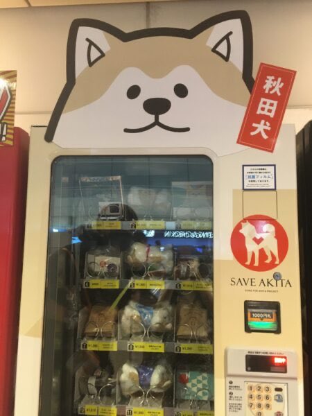 A vending machine featuring a large Akita dog illustration on top dispenses various plush toys and items, with Japanese text reading "秋田犬" (Akita dog) and a "SAVE AKITA" logo visible. The machine has a price of 1000円 (1000 yen) displayed on its digital screen. This image would help identify the distinctive Akita-themed vending machine located somewhere in Japan.