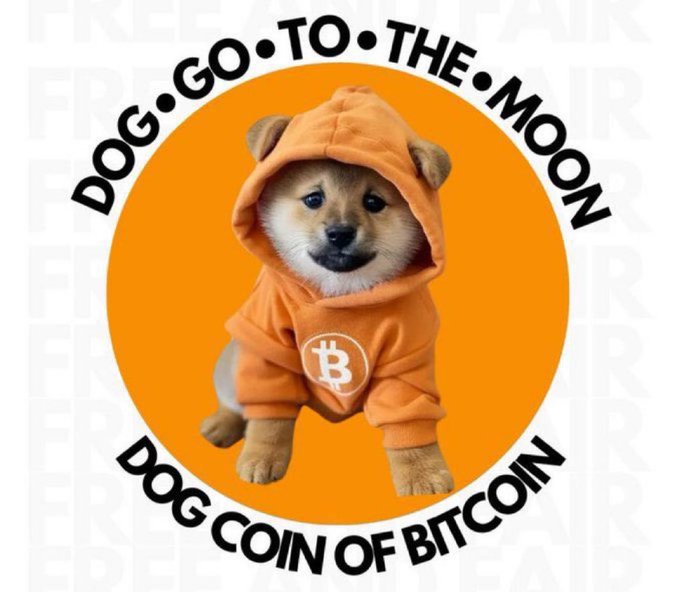 A 'DOG•GO•TO•THE•MOON' logo featuring a Shiba Inu puppy wearing an orange hoodie with a Bitcoin symbol, labeled 'DOG COIN OF BITCOIN' with a faint DEXXR watermark background.