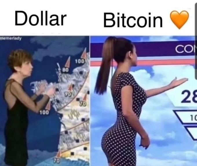 A side-by-side meme comparing 'Dollar' (showing a thin woman in a black dress clapping) and 'Bitcoin' with an orange heart (showing a curvy woman in a polka dot dress gesturing).