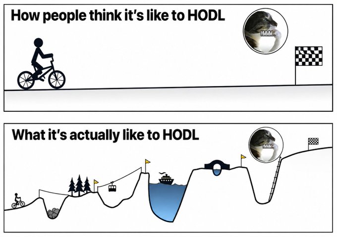 A two-panel meme about cryptocurrency 'HODLing', contrasting an easy straight path (top) with the actual difficult mountainous terrain filled with obstacles (bottom), featuring a fish character called 'HODLR'.