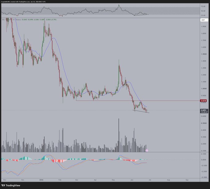 A TradingView candlestick chart of SUI/USD shows the asset declining from around $1.90 to a low near $0.65 over a 7-month period, with the post highlighting a potential bullish divergence and a price target of $1.
