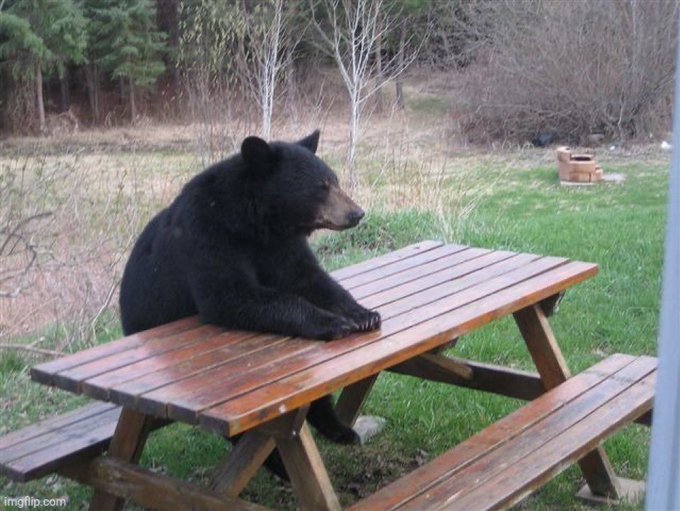 A black bear sits at a wooden picnic table in a grassy yard, resting its paws on the tabletop and looking away, with an imgflip.com watermark in the corner.