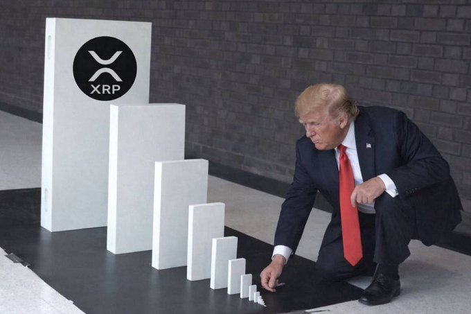 A digitally edited image shows Donald Trump crouching next to a descending bar chart, with the tallest bar labeled with the XRP cryptocurrency logo.