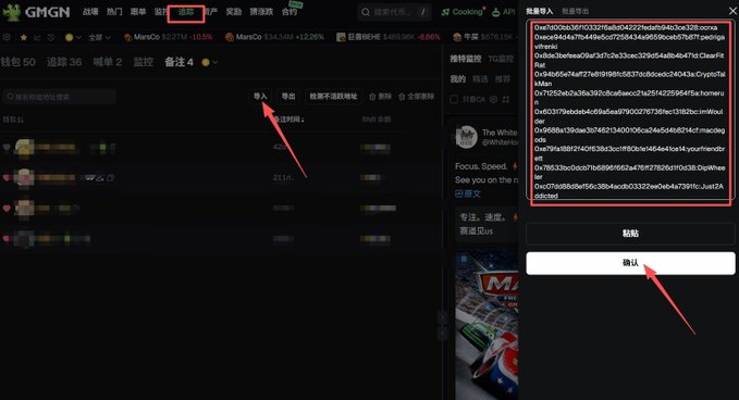 The image shows a GMGN cryptocurrency trading interface with an "导入" (Import) function highlighted, displaying a wallet address (0xe93f903b7892f80d8129a05ab2c4d8f0d6155edf) being pasted and confirmed. The screenshot illustrates the process of importing a foreign investor's wallet address—likely an overseas "diamond hand" identified by the accompanying text—to track their trades and find high-performing altcoins on the BSC chain that domestic players are missing out on.