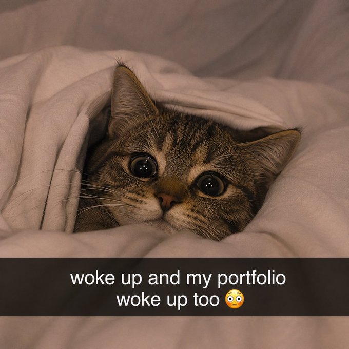 A tabby kitten peering out from under a white blanket with the caption 'woke up and my portfolio woke up too 😳'.