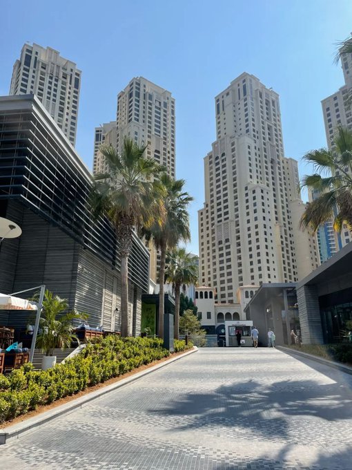 A sunny outdoor view of a pedestrian walkway lined with palm trees, leading toward tall modern skyscrapers and a sign reading 'ARCADE'.