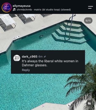 An Instagram story screenshot from user 'allymayeusa' showing a poolside background with a comment from 'dark_c965' reading 'It's always the liberal white women in Dahmer glasses.'