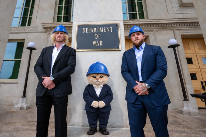 Two men in suits and blue hard hats stand on either side of a cat wearing a tiny matching suit and hard hat in front of a building labeled 'DEPARTMENT OF WAR'.