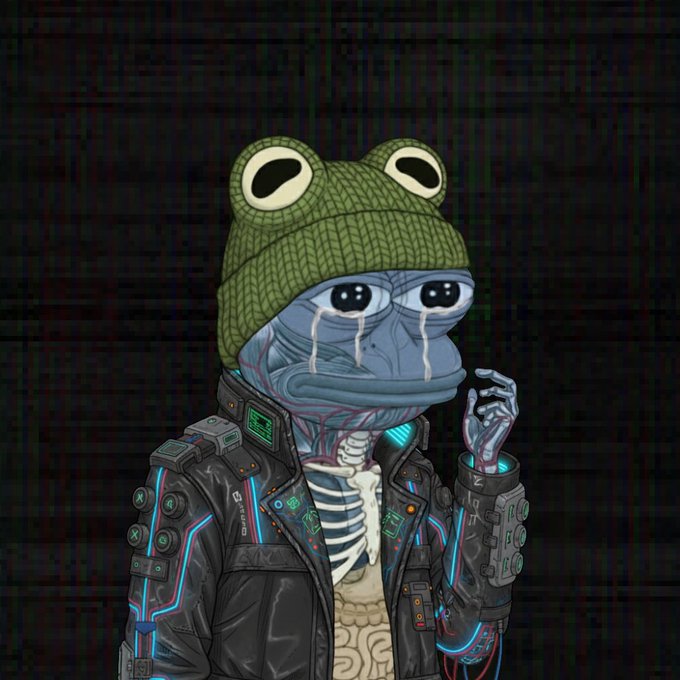 Digital illustration of a sad anthropomorphic frog wearing a green beanie and a futuristic black jacket with neon details and exposed skeletal features.