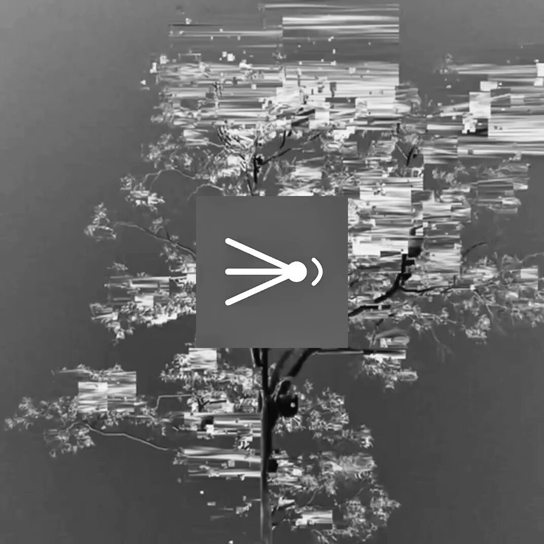 The image features an abstract tree with branches that are black and white, giving it a digital or computerized appearance. The tree appears to be made of lines and squares, creating a unique visual effect. In front of the tree, there's a sign that says "Flux launches tomorrow on @arc programmable USDC payouts for agents, DAOs, gig platforms an agent receives a budget, triggers disbursements, settles in under a second - no bank account - no human approval - no waiting think Stripe webhooks, but fully onchain see you tomorrow". The image is black and white, which adds to the overall digital or computerized feel of the scene.
