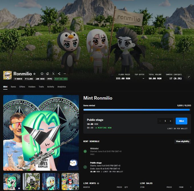 The image features a website with a banner at the top that says "ronin chain" followed by a picture of a girl wearing a penguin costume. Below this image, there are two posts related to the website's content. One post is titled "mint mint" and has an image of a girl in a penguin costume next to a green coin. The other post is titled "Public stage" and also includes an image of a girl with a penguin costume. Both posts discuss the concept of minting coins, which are digital tokens that can be used for various purposes such as gaming or purchasing items on the website.