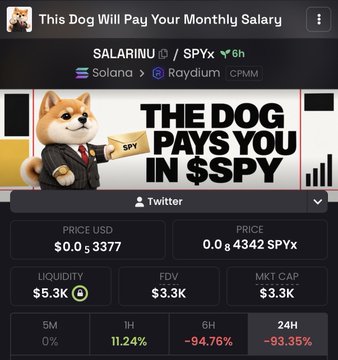The image shows a crypto token dashboard for "$SALARINU / $SPYx" on Raydium CPMM with a price of $0.00337, a market cap of $3.3K, and significant 24-hour losses of -93.35%. The accompanying post references "farming" and trading losses, contextualizing the image as evidence of a failed or rugged token launch where traders extracted 25K before a -93% crash.