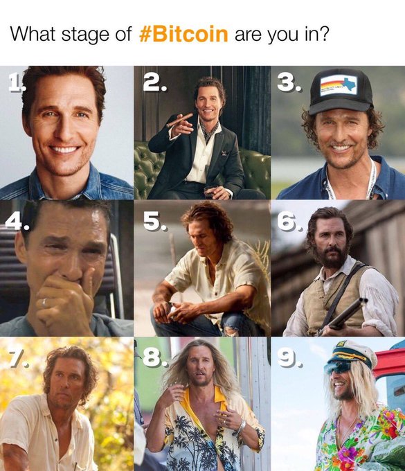 A nine-panel meme titled 'What stage of #Bitcoin are you in?' showing a man in progressively more disheveled appearances, ending with him wearing a captain's hat and Hawaiian shirt.