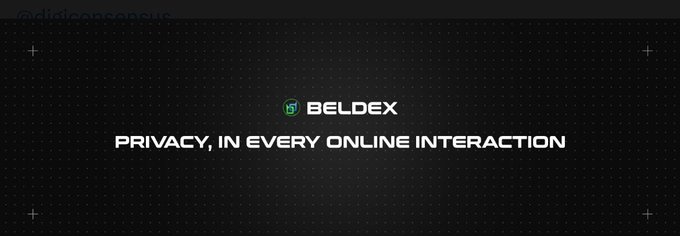 The image is a dark promotional graphic with a subtle grid pattern, featuring the "BELDEX" logo (white text with a green cryptocurrency icon) above the tagline "PRIVACY, IN EVERY ONLINE INTERACTION" in bold white letters. It visually reinforces the post's message about Beldex's unified privacy network approach, using a sleek, tech-forward aesthetic that emphasizes the platform's comprehensive privacy focus.