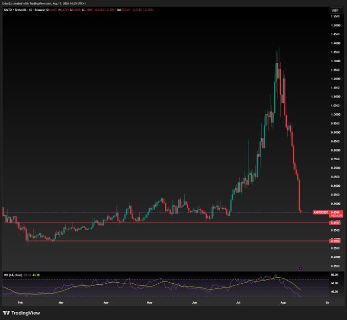 A TradingView candlestick chart for KAS/USD on Binance showing a dramatic price peak followed by a sharp decline, with an RSI indicator at the bottom.