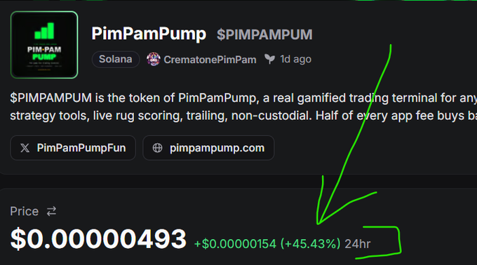 A screenshot of the PimPamPump cryptocurrency token ($PIMPAMPUM) on Solana, showing a price of $0.00000493 with a 24-hour gain of +45.43% (+$0.00000154), highlighted by a green arrow.