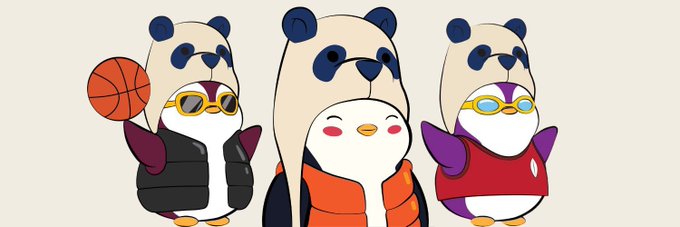 Three cartoon penguin mascots wearing panda hoods; the left one holds a basketball and wears yellow sunglasses, the center one smiles in an orange vest, and the right one wears blue sunglasses and a red vest.