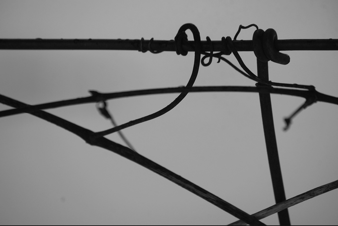 A black and white photograph of barbed wire wrapped around a metal bar against a plain sky.