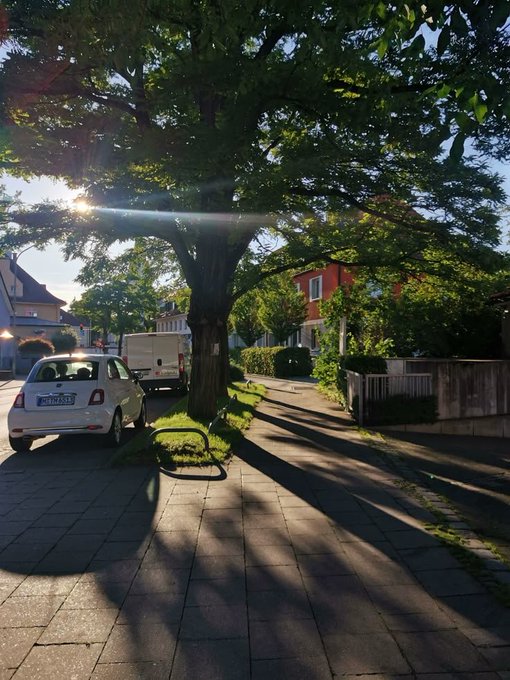 A peaceful residential street scene at sunset, featuring a large tree with sunlight streaming through its leaves, casting long shadows across the sidewalk where a small white Fiat is parked.
