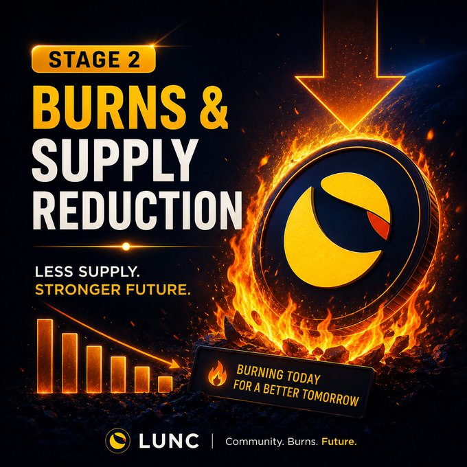 A promotional graphic for Terra Classic (LUNC) announcing "Stage 2: Burns & Supply Reduction" with the tagline "Less Supply. Stronger Future." The fiery design features a burning LUNC coin, a downward-trending bar chart symbolizing supply reduction, and a banner reading "Burning Today for a Better Tomorrow," reinforcing the post's message about LUNC's deflationary burn mechanism.