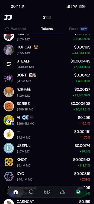 Screenshot of the DexScreener app showing the Tokens tab with the user's $1.13 portfolio, listing trending meme coins including HUHCAT ($0.00165), STEALF ($0.0000443), BORT ($0.00451), and CASHCAT at the bottom.