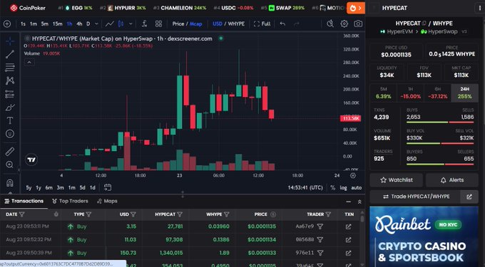 A CoinPoker trading chart for the HYPECAT/WHYPE pair on HyperSwap, showing price action and market stats, with a 'Rainbet NO KYC CRYPTO CASINO & SPORTSBOOK' ad in the bottom right.