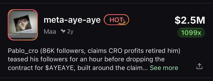 The image shows a Facebook post that has been tagged with the hashtag "Meta-AYE" by several users, including one who claimed that they have received $2.5 for a fake account. The post also features an attached photo of a cat sitting on top of a desk. The caption reads, "PumpfunEco says hello first meme on eth now on solana bhivuhns5sR4JE9tYXagbleeSZ9sEVsJ5Qmpyterpump".