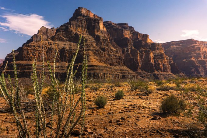 A desert landscape featuring a tall, layered red rock mountain under a blue sky, with green ocotillo plants in the foreground.
