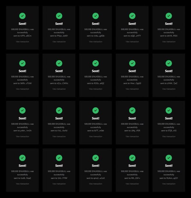 A screenshot showing multiple successful cryptocurrency transactions, each indicating that 500,000 SNUKEBULL tokens were sent to various wallet addresses.