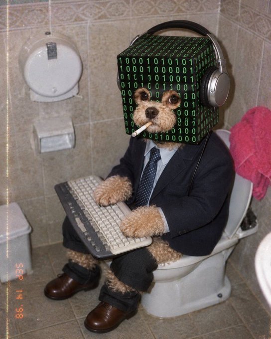 A humorous photo of a small dog in a business suit sitting on a toilet using a keyboard, with its head replaced by a green digital 'Matrix-style' code cube with a cigarette in its mouth.