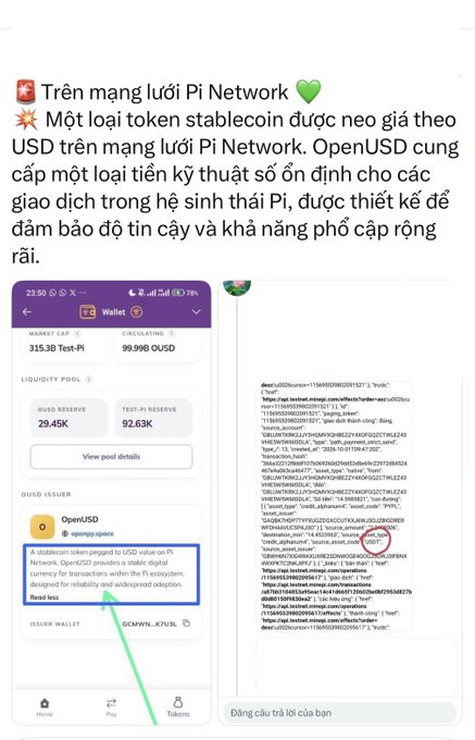 The image shows a Pi Network wallet interface displaying a market cap of 315.38 Test-Pi and circulating supply of 99,998 OUSD, alongside code details confirming OpenUSD as a stablecoin pegged to the US dollar on the Pi ecosystem. The Vietnamese text explains that Pi Network supports a new stablecoin called OpenUSD ($OUSD), issued by the OpenUSĐ consortium to provide a reliable digital currency for transactions within its growing ecosystem.

This directly illustrates the post's claim by providing visual proof of OpenUSD's integration and technical details within the Pi Network wallet.