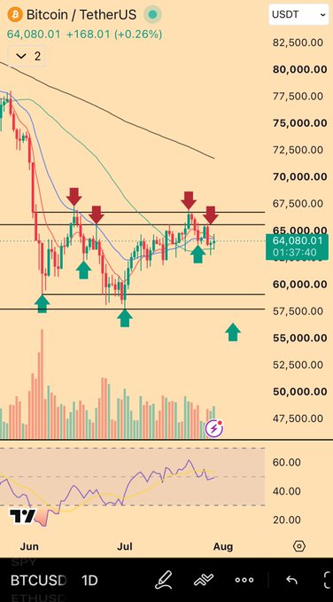 A TradingView chart of BTCUSD shows Bitcoin at $64,080.01 (+0.26%), with the price hovering between key support near $57,500 and resistance around $67,500 amid declining momentum, visually capturing the uncertainty behind the question "So is the plan that we're digital gold again?"