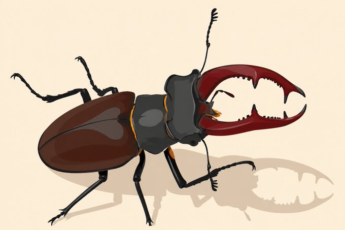 An illustrated cartoon of a large stag beetle with prominent mandibles, dark red body, and black legs against a cream background.