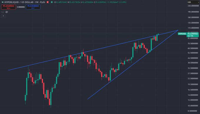 A financial candlestick chart for the HYPERLIQUID / US DOLLAR trading pair (1W timeframe) showing a symmetrical triangle pattern with blue trendlines on the HYPE/USD pair.